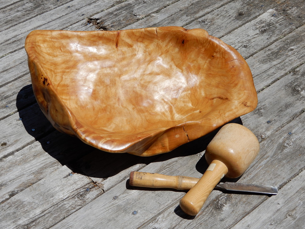 Yellow Birch #3